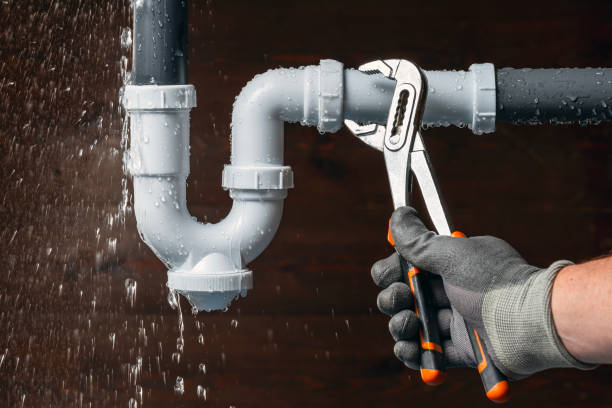 Professional Plumbing technician working in Durand, MI